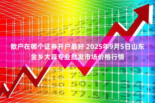 散户在哪个证券开户最好 2025年9月5日山东金乡大蒜专业批发市场价格行情